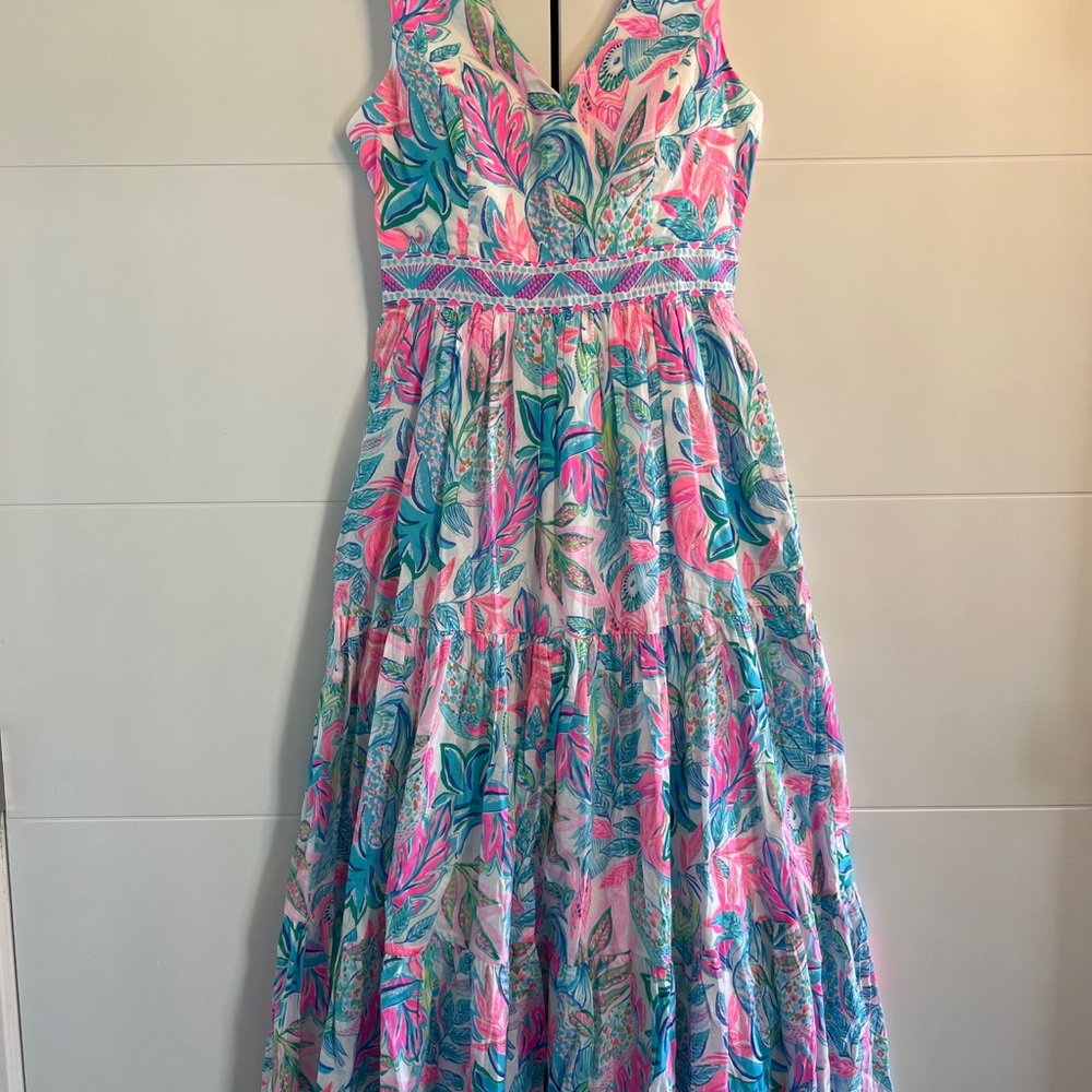 NWT Size 6 Charleen Maxi Dress in Toucan Do It Better